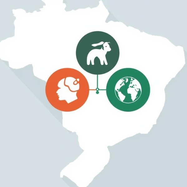 Políticas Públicas Voltadas à Saúde Única