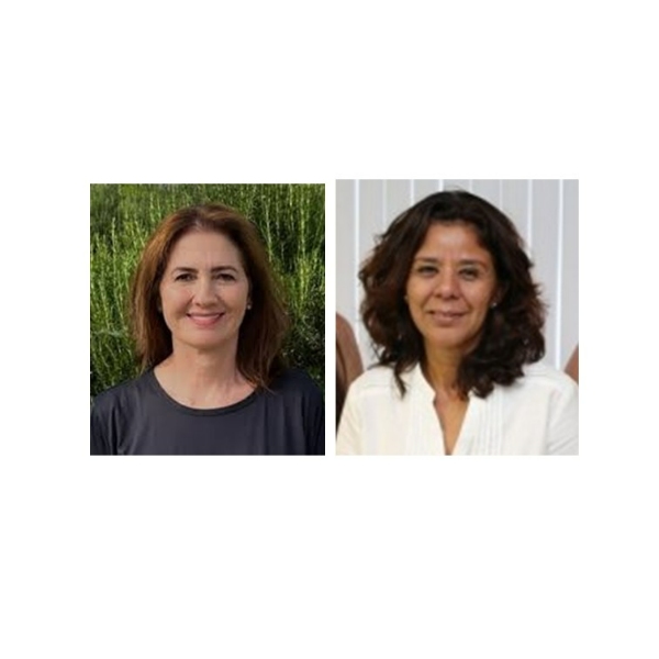 Panorama Nacional e Estadual da Sanidade das Abelhas