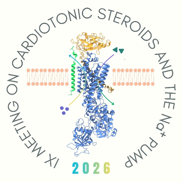 Na,K-ATPase and Cardiotonic Steroids