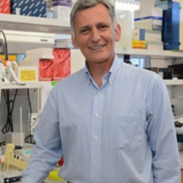 New ouabain derivatives for blocking Na, K-ATPase signaling in polycystic kidney disease