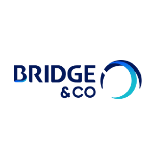 Palestra Bridge Consulting