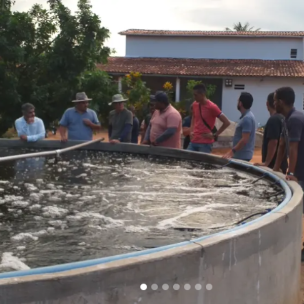 Visita técnica 3 - Aquicultura/piscicultura