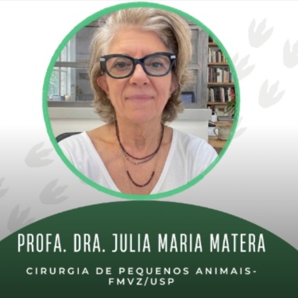 Palestra Magna - Profa. Dra. Julia Maria Matera - Universidade de São Paulo (USP)