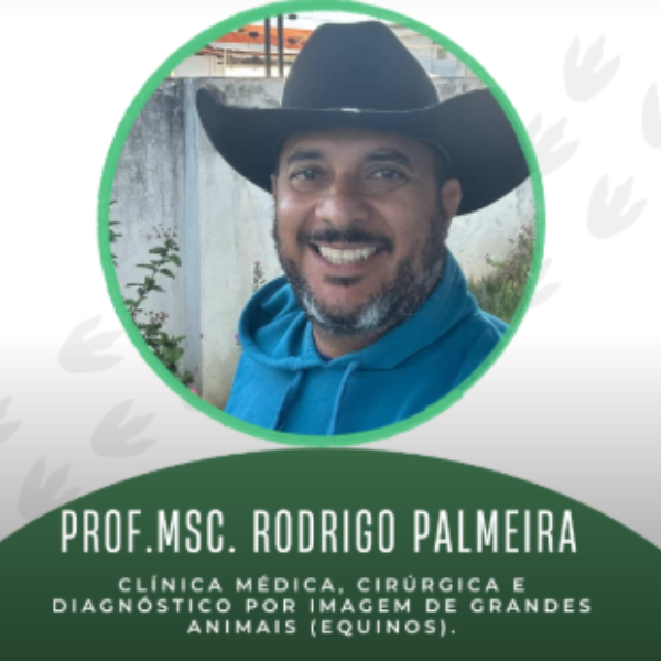 Cirurgia ortopédica em equinos: técnicas, desafios e prognóstico  - Prof. MSc. Rodrigo Barbosa Palmeira (UNIFIP)