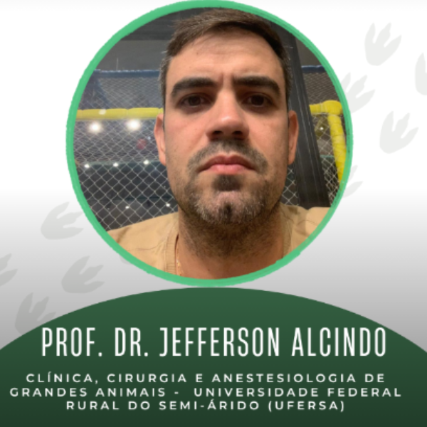Doença respiratória bovina - Prof. Dr. Jefferson Filgueira Alcindo (UFERSA)