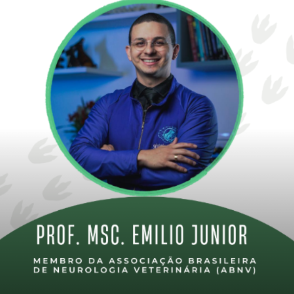 Dor em cães e gatos neurogeriátricos: identificação e manejo clínico – M.Sc. Emílio Leite de Sousa Júnior (Sensevet)