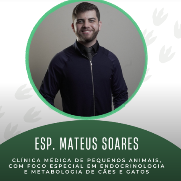 Diabetes mellitus em cães e gatos – Esp. Matheus Soares de Araújo Eugênio (H.V. Natal Pet Center)