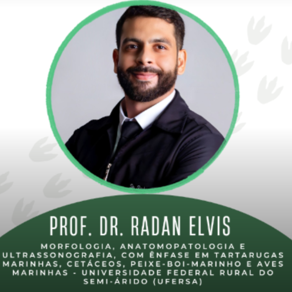 Manejo de tartarugas marinhas: do resgate à soltura – Prof. Dr. Radan Elvis Matias de Oliveira (UFERSA)