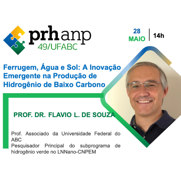 Palestra: Prof. Dr. Flavio L. de Souza