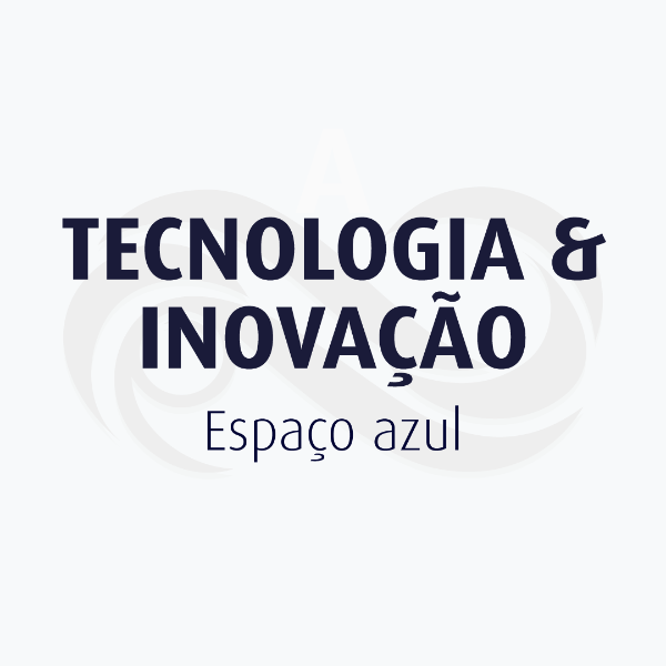 INTELIGÊNCIA DE NEGÓCIOS E FALHAS DE SEGURANÇA: RISCOS E OPORTUNIDADES