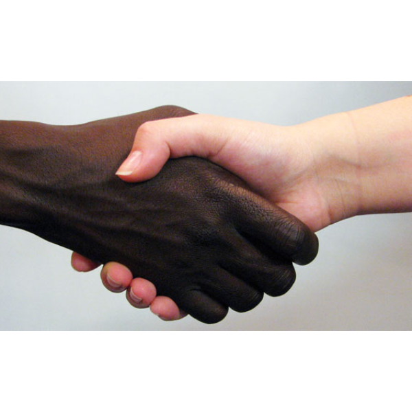 02 POLÍTICAS DE IGUALDADE RACIAL EM ALAGOAS (MESA REDONDA)
