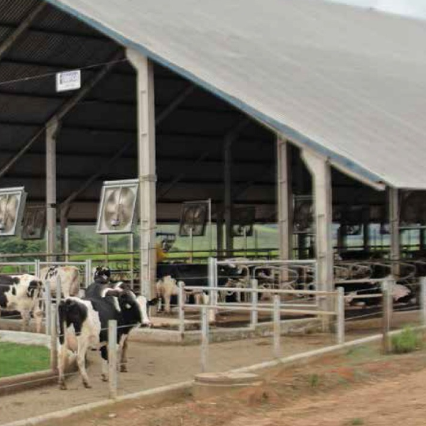 Avaliação de instalações visando o bem estar animal