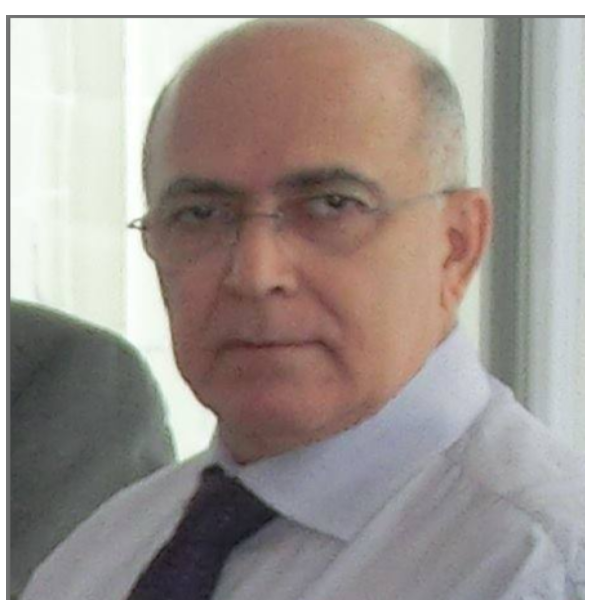 INSTABILIDADE MACROECONÔMICA E HIPERINFLAÇÃO-CONTEXTUALIZANDO O PERÍODO PRÉ PLANO REAL