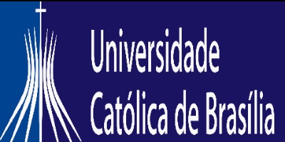 Imagem do Organizador
