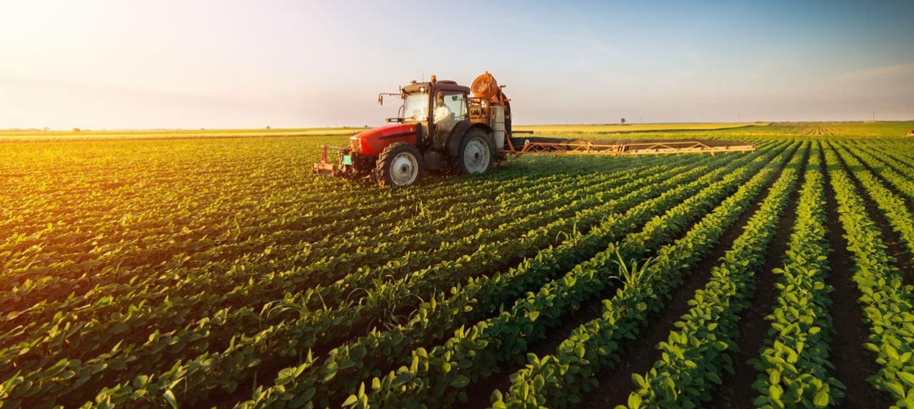 Reunião Nacional de Coordenadores e Gestores dos Cursos de Agronomia do Brasil