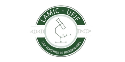 Imagem do Organizador