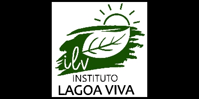 Imagem do Organizador