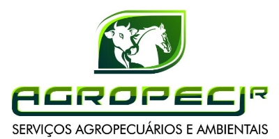 Imagem do Organizador