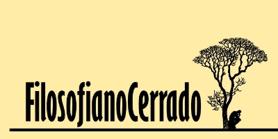 Imagem do Organizador