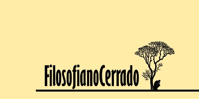 Imagem do Organizador