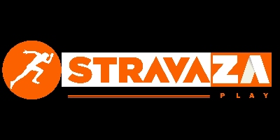 Imagem do Organizador