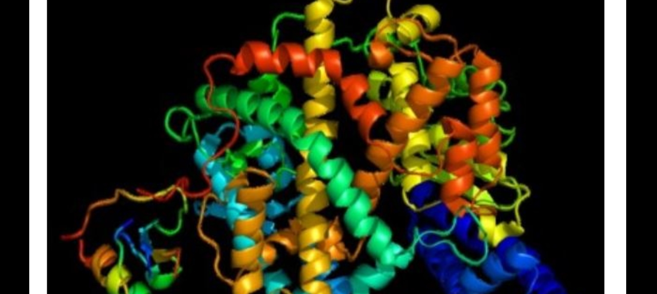 Cortellis Drug Discovery Intelligence e Integrity, seus aliados para a Pesquisa e Desenvolvimento para novas terapias para o COVID-19