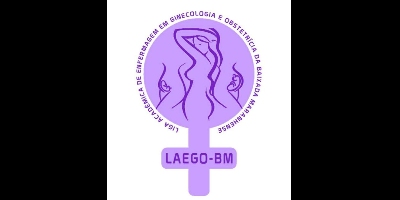 Imagem do Organizador