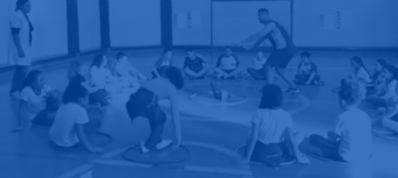 Curso Intensivo de Educação Física Escolar e Didática