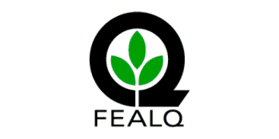 Imagem do Organizador