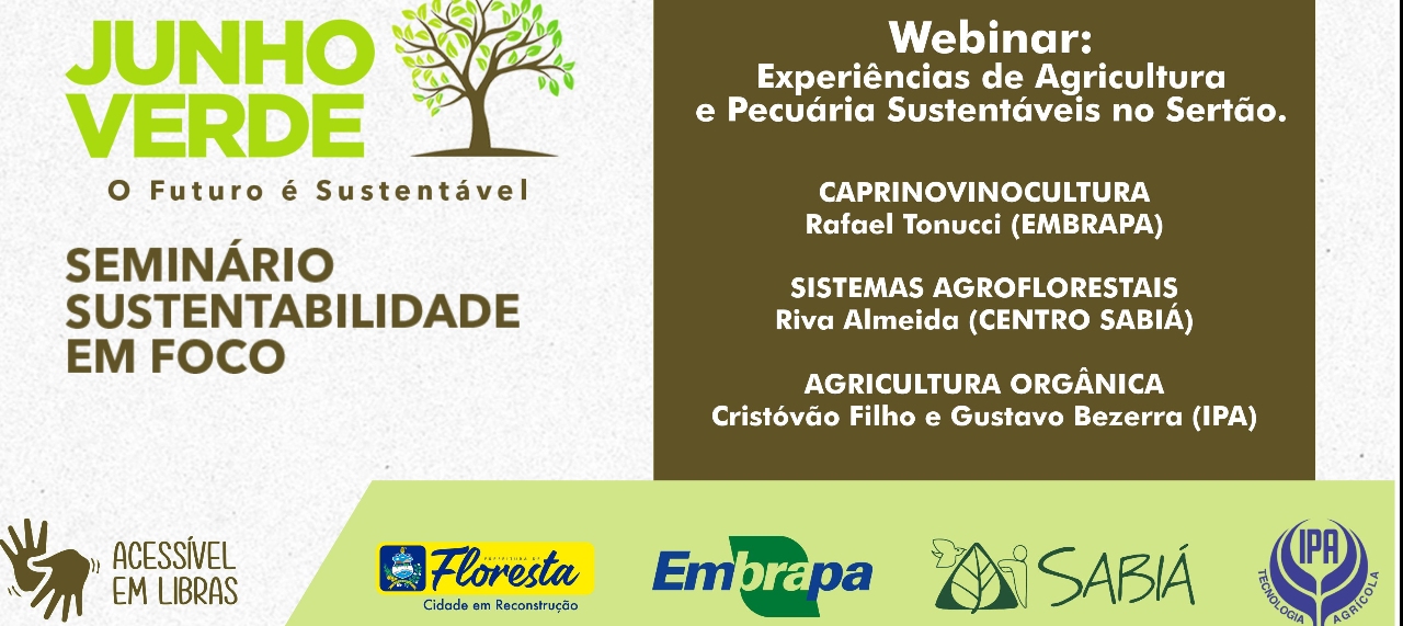 Webinar 