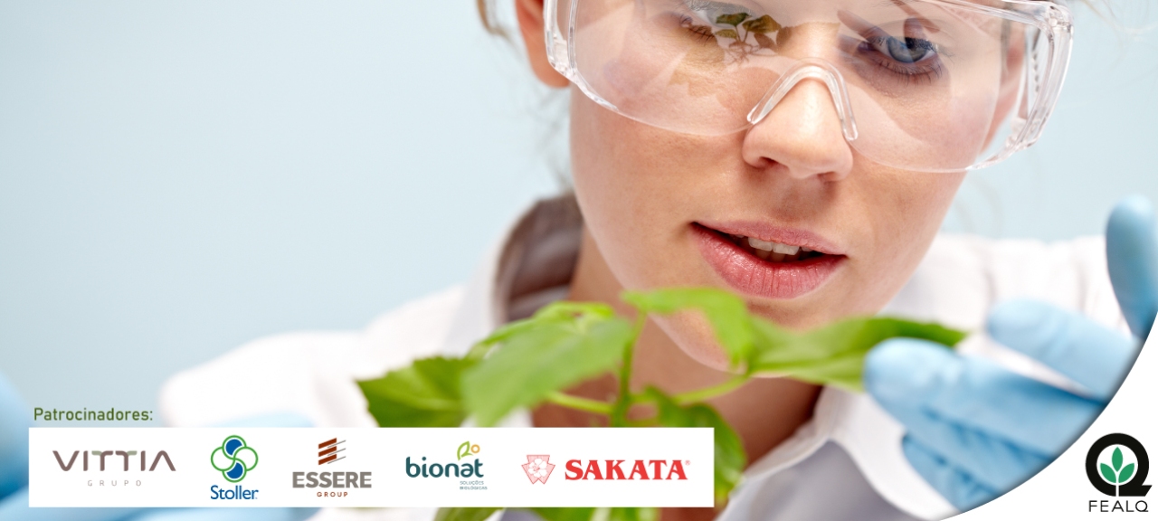 FITOPATOLOGIA, EPIDEMIOLOGIA E MANEJO DE DOENÇAS DE PLANTAS (104101)