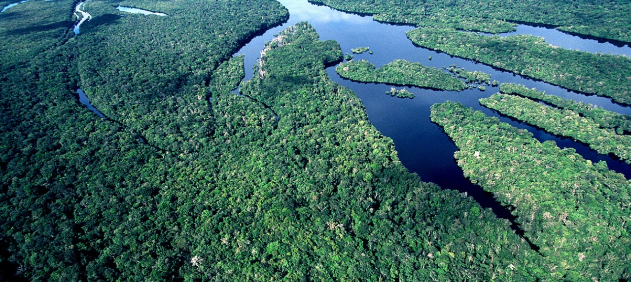 Autogestão, gestão integrada e desenvolvimento regional: avanços e desafios em Mosaicos de Áreas Protegidas Brasileiras