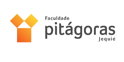 Imagem do Organizador