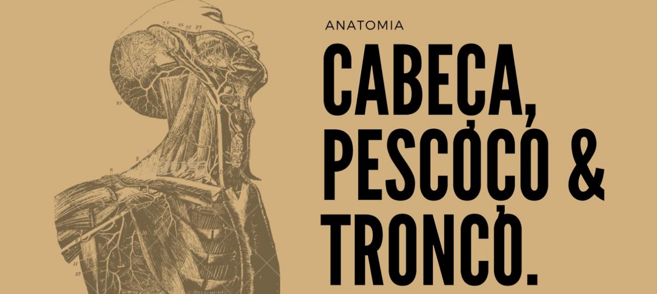Anatomia da Cabeça, Pescoço e Tronco