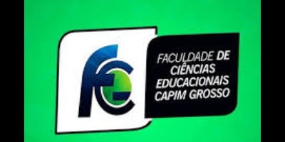 Imagem do Organizador
