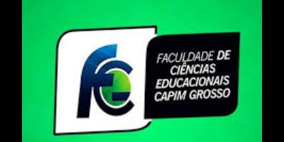 Imagem do Organizador
