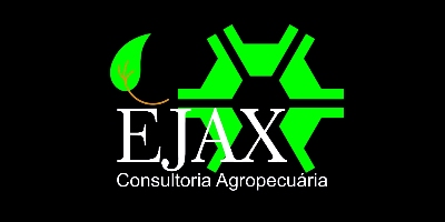 Imagem do Organizador