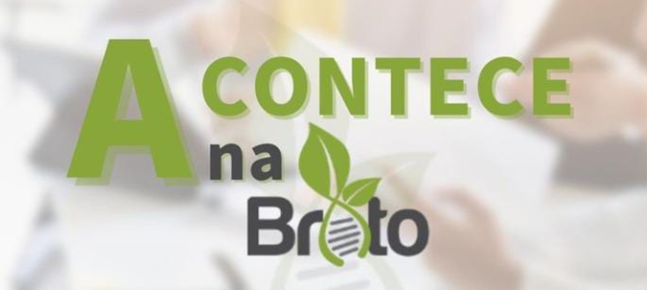 Acontece na Broto #02