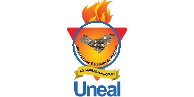 Imagem do Organizador