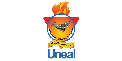Imagem do Organizador