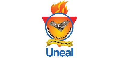 Imagem do Organizador