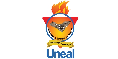 Imagem do Organizador