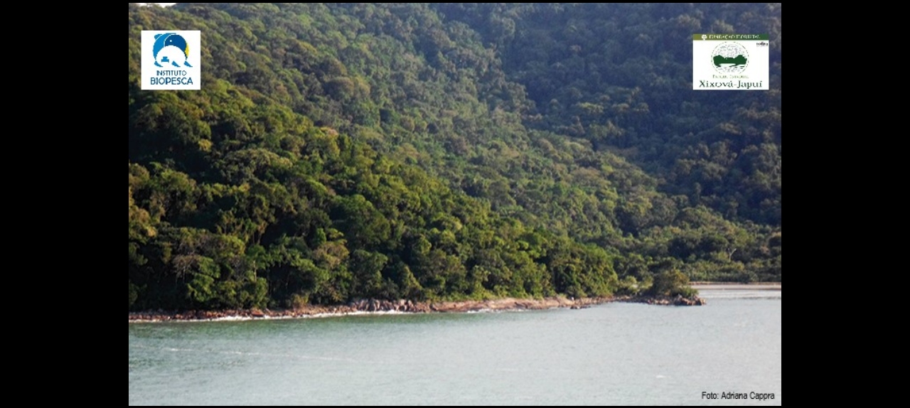 Limpeza de Praia com o Instituto Biopesca no Parque Estadual Xixová-Japuí