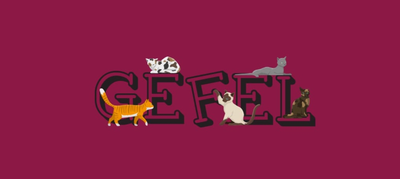 Casos mais comuns na clínica de felinos