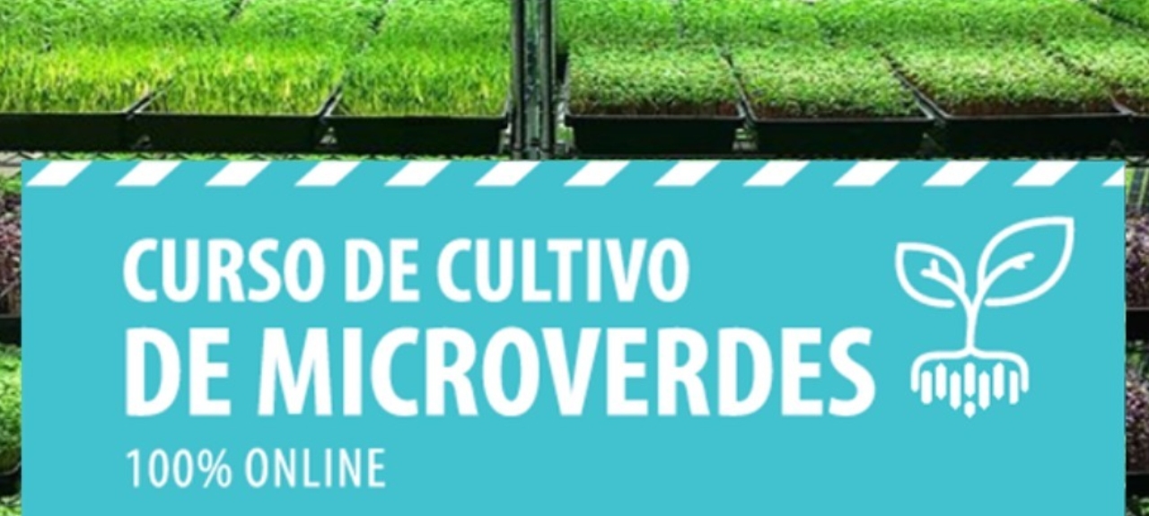 II CURSO DE CULTIVO DE  MICROVERDES (104232)