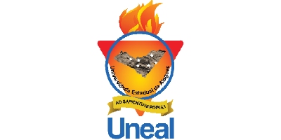 Imagem do Organizador