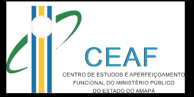 Imagem do Organizador