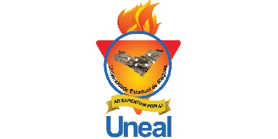 Imagem do Organizador