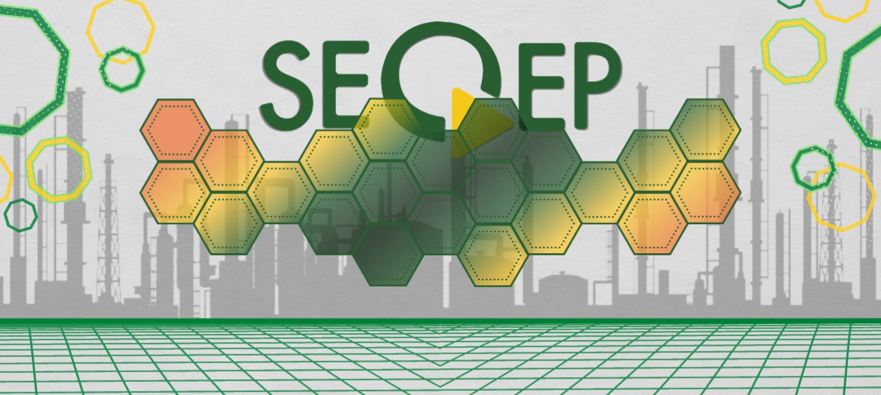 XVII SEQEP