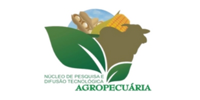 Imagem do Organizador